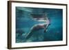 Portrait of a West Indian Manatee or "Sea Cow" in Crystal River, Three Sisters Spring, Florida-Karine Aigner-Framed Photographic Print