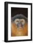 Portrait of a Western Red Colobus Monkey (Procolobus Badius). Gambia, West Africa, January-Robin Chittenden-Framed Photographic Print