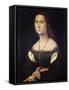 Portrait of a Woman, 1507-Raphael-Framed Stretched Canvas