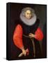 Portrait of a Woman, 1600-null-Framed Stretched Canvas