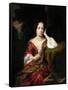 Portrait of a Woman, 1680-Nicolaes Maes-Framed Stretched Canvas