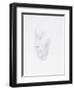 Portrait of a Woman, 1901 (Silver Point)-Alphonse Legros-Framed Giclee Print