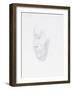 Portrait of a Woman, 1901 (Silver Point)-Alphonse Legros-Framed Giclee Print