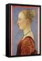 Portrait of a Woman by Piero Del Pollaiuolo-null-Framed Stretched Canvas