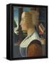 Portrait of a Woman, C.1490-Domenico Ghirlandaio-Framed Stretched Canvas