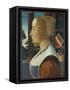 Portrait of a Woman, C.1490-Domenico Ghirlandaio-Framed Stretched Canvas