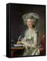 Portrait of a Woman, circa 1787-Adelaide Labille-Guiard-Framed Stretched Canvas