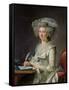 Portrait of a Woman, circa 1787-Adelaide Labille-Guiard-Framed Stretched Canvas