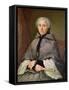 Portrait of a Woman in Grey-Jacques Andre Joseph Camelot Aved-Framed Stretched Canvas