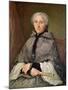 Portrait of a Woman in Grey-Jacques Andre Joseph Camelot Aved-Mounted Giclee Print