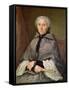 Portrait of a Woman in Grey-Jacques Andre Joseph Camelot Aved-Framed Stretched Canvas
