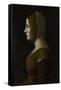 Portrait of a Woman in Profile, C. 1495-Giovanni Ambrogio De Predis-Framed Stretched Canvas