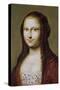 Portrait of a Woman Inspired by the Mona Lisa-Jean Ducayer-Stretched Canvas