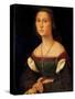 Portrait of a Woman (La Muta)-Raphael-Stretched Canvas