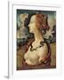 Portrait of a Woman Named Simonetta Vespucci - by Piero Di Cosimo-null-Framed Giclee Print