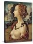 Portrait of a Woman Named Simonetta Vespucci - by Piero Di Cosimo-null-Stretched Canvas