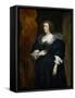 Portrait of a Woman, Probably a Member of the Noble Du Croy Family of Brussels-Sir Anthony Van Dyck-Framed Stretched Canvas