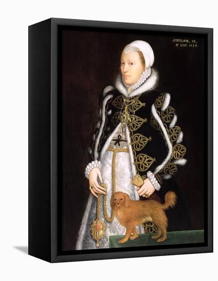 Portrait of a Woman, Probably Catherine Carey, Lady Knollys (Oil on Panel)-or Muelen, Steven van der Meulen-Framed Stretched Canvas