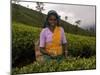 Portrait of a Woman Tea Picker, Tea Hills, Hill Country, Nuwara Eliya, Sri Lanka, Asia-Gavin Hellier-Mounted Photographic Print