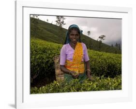 Portrait of a Woman Tea Picker, Tea Hills, Hill Country, Nuwara Eliya, Sri Lanka, Asia-Gavin Hellier-Framed Photographic Print