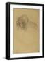 Portrait of a Woman-Gustav Klimt-Framed Giclee Print