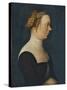 Portrait of a Woman-Hans Holbein the Younger-Stretched Canvas