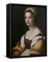 Portrait of a Woman-Andrea del Sarto-Framed Stretched Canvas