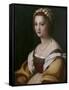 Portrait of a Woman-Andrea del Sarto-Framed Stretched Canvas