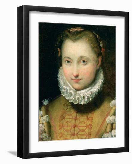 Portrait of a Woman-Federico Barocci-Framed Giclee Print