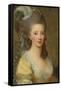 Portrait of a Woman-Elisabeth Louise Vigee-LeBrun-Framed Stretched Canvas