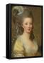 Portrait of a Woman-Elisabeth Louise Vigee-LeBrun-Framed Stretched Canvas