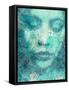 Portrait of a Womans Face with Floral Layer-Alaya Gadeh-Framed Stretched Canvas