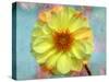Portrait of a Yellow Dahlia with Floral Layers and Emotion-Alaya Gadeh-Stretched Canvas