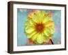 Portrait of a Yellow Dahlia with Floral Layers and Emotion-Alaya Gadeh-Framed Photographic Print