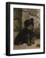 Portrait Of A Yorkshire Terrier-Gustave Giradot-Framed Premium Giclee Print