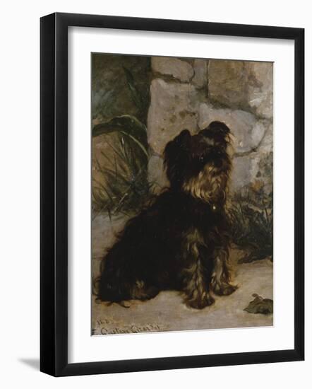 Portrait Of A Yorkshire Terrier-Gustave Giradot-Framed Premium Giclee Print