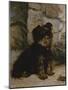 Portrait Of A Yorkshire Terrier-Gustave Giradot-Mounted Premium Giclee Print