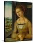 Portrait of a Younf Woman with Braided Hair-Albrecht Dürer-Stretched Canvas