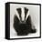 Portrait of a Young Badger (Meles Meles)-Mark Taylor-Framed Stretched Canvas