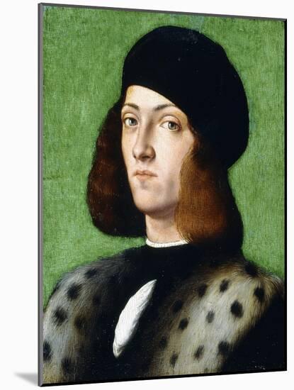 Portrait of a Young Gentleman, Bust-Length, Wearing a Black Cap and Black Coat, 1506-Andrea Previtali-Mounted Giclee Print