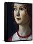 Portrait of a Young Girl, 1485-Domenico Ghirlandaio-Framed Stretched Canvas