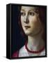 Portrait of a Young Girl, 1485-Domenico Ghirlandaio-Framed Stretched Canvas