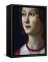 Portrait of a Young Girl, 1485-Domenico Ghirlandaio-Framed Stretched Canvas