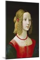 Portrait of a Young Girl. Probably About 1490-Domenico Ghirlandaio-Mounted Giclee Print