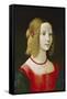 Portrait of a Young Girl. Probably About 1490-Domenico Ghirlandaio-Framed Stretched Canvas
