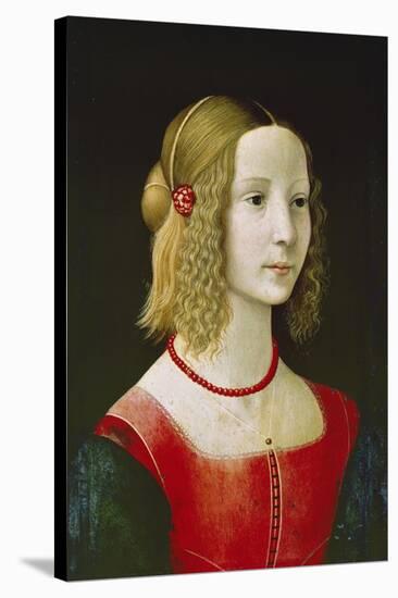 Portrait of a Young Girl. Probably About 1490-Domenico Ghirlandaio-Stretched Canvas