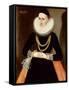 Portrait of a Young Lady, 1608-null-Framed Stretched Canvas