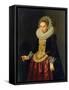 Portrait of a Young Lady, 1622-Nicolaes Eliasz-Framed Stretched Canvas