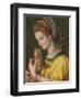 Portrait of a Young Lady Holding a Cat-Francesco Ubertini Verdi Bachiacca-Framed Giclee Print