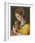 Portrait of a Young Lady Holding a Cat-Francesco Ubertini Verdi Bachiacca-Framed Giclee Print